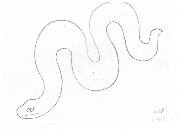 sidewinder snake drawing