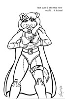 Super Collie's new outfit