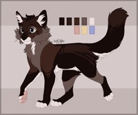 CAT-ADOPT \C|ОSED\