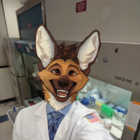 Selfie