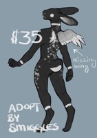 RABBIT ADOPT - CLOSED