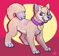 look at this cool dog
