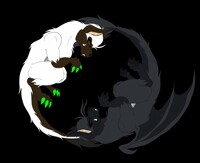 Day VS Night