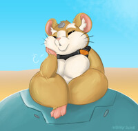 Hammond The hamster