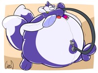 [COM] Puff up, floatzel!