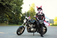 Field Photo Shooting #2 (Parking lot test)
