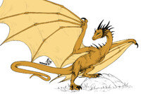 Lineart Comm: Golden wyvern