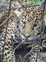 But...I don't want to stay in here...