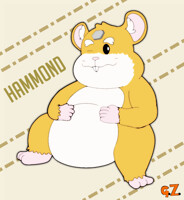 Hero 28 - Hammond