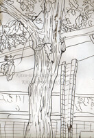 School - Ink Study 1