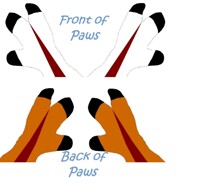 Tonic: Paw drawing