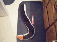 Tonic: Tail size