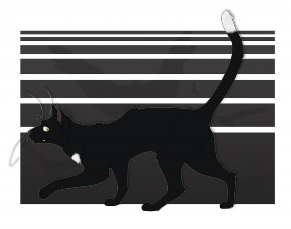 Ravenpaw (Warrior cats) by Hoak -- Fur Affinity [dot] net