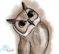 Owl