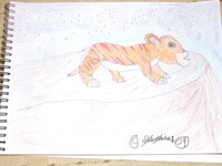 cub Sin watching a falling star on top of pride rock