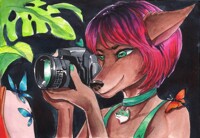 Vagabonda new hairstyle