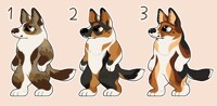 corgi adopts (open 1/3)