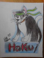 Haku Badge
