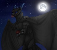YCH on the night fury