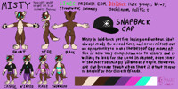 Misty Reference Sheet
