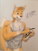 Chris the fox