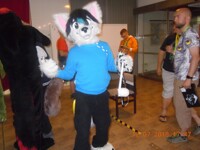 CesFur 2018