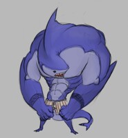 Shark boyo
