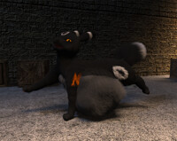 The 4th Best PvP Rogue