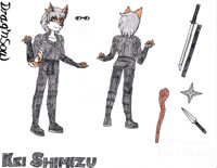 Kei Shimizu - Char Bio