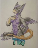 [Comm] Tiko