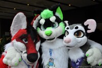 Confuzzled 2017 - Fluffy Dutch friends!