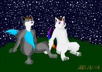 Stargazing