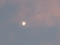 moons in the Twilight