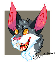 (C) studio-villain headshot