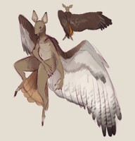 [ adopt - closed ]