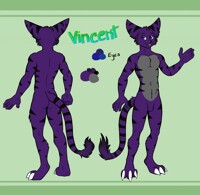 Vincent reference sheet