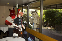 Rainfurrest- The glass! It's magic!!