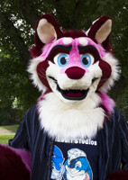 Whiskers the Red Panda!