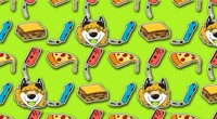 Ollie Pattern