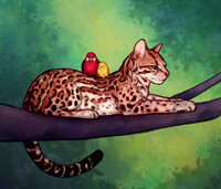 Ocelot