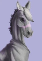 Portrait Practice