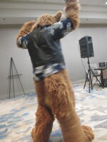 Shake yo booty