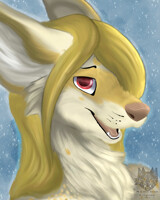 Raffle prize - AlbinoKitsune