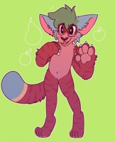 [AT] kitty!