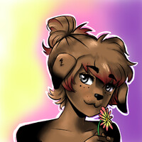 The Lovely Shasta