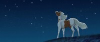 Wish upon a star