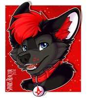 Insane Bust Commission