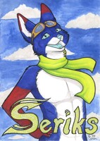 EF Badge for Seriks