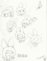 Bunny things