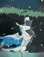 Wat a wonderful evening